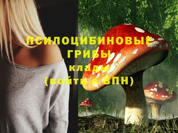 MESCALINE Аркадак