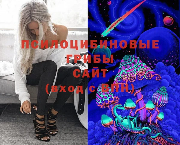 MESCALINE Аркадак